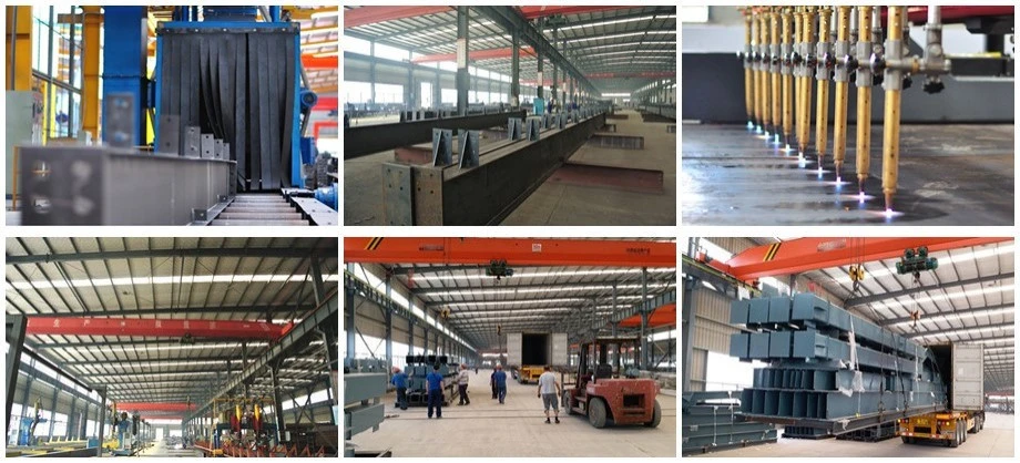 Prefabrication Steel and Metal Construction Building