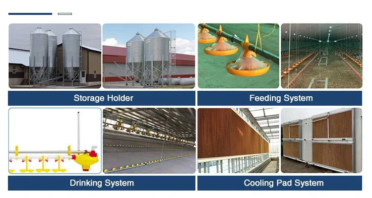 Factory-Made Modern Strong Chicken Farm Steel Structure Metal Duck House Steel Poultry Farm Building for Sale
